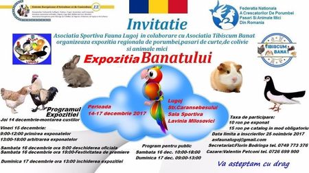 Expozitia Banatului; CAMPIONAT REGIONAL 2017
