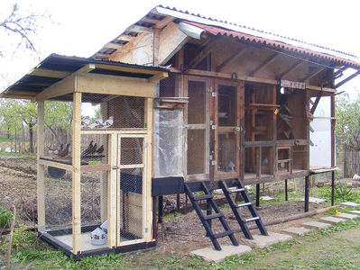 voliera 2012
