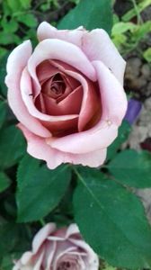 20170622_204736_Richtone(HDR)