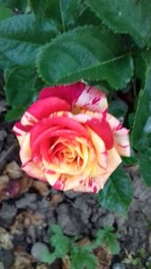 20170622_205602_Richtone(HDR)