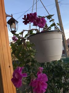 0F4B6608-F92F-412A-B709-3233AA08F3E4