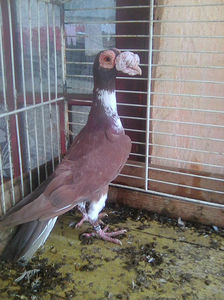Photo0751