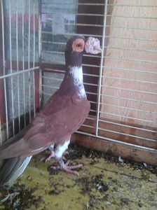 Photo0752