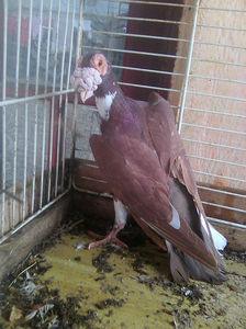 Photo0753