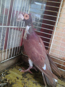 Photo0754
