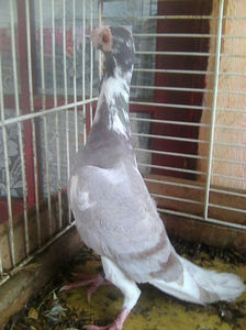 Photo0757