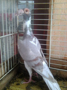 Photo0758
