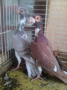 Photo0760