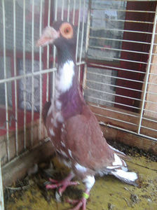 Photo0763