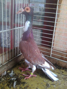 Photo0764