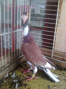 Photo0765