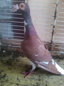 Photo0766