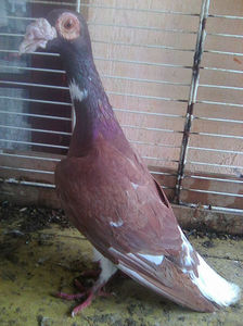 Photo0767