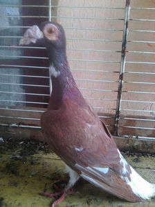 Photo0768
