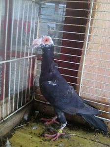 Photo0772