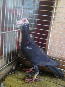 Photo0773