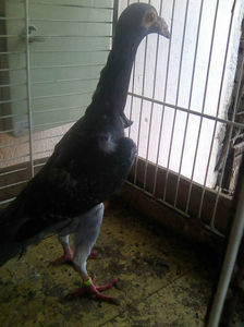 Photo0774