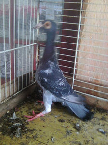 Photo0775