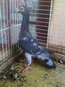 Photo0780