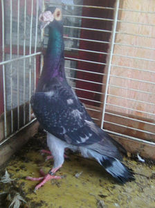 Photo0782