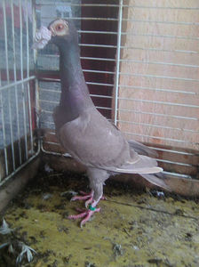 Photo0783