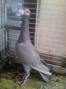 Photo0784