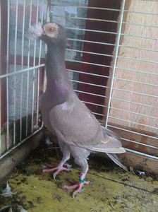 Photo0785