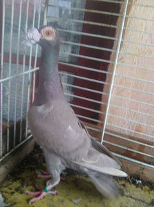 Photo0786