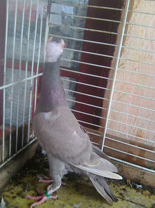 Photo0787