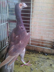 Photo0789