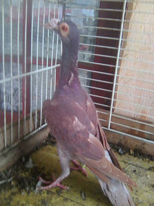 Photo0790