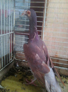 Photo0793