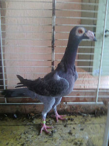 Photo0794