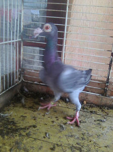 Photo0795