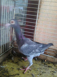 Photo0796