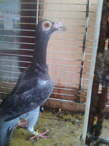 Photo0798