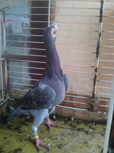 Photo0799