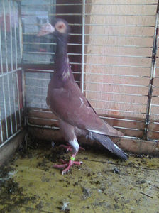 Photo0801
