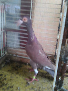 Photo0802