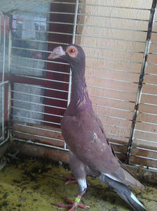 Photo0803