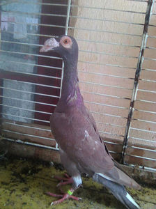 Photo0804