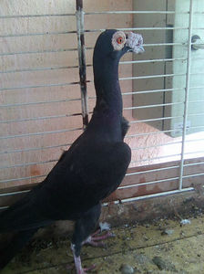 Photo0806
