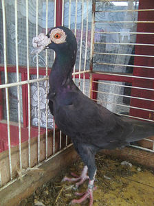 Photo0807