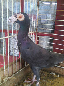Photo0808