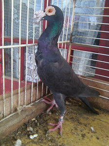 Photo0809