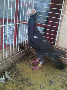 Photo0810