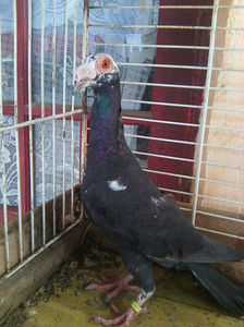 Photo0811