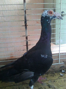 Photo0812