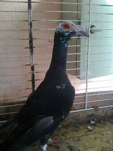 Photo0813