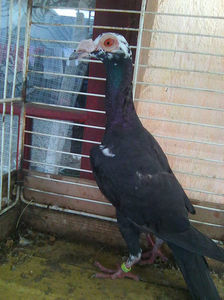 Photo0814
